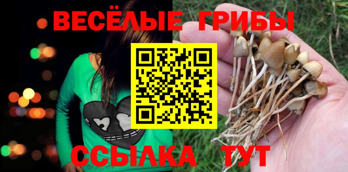 Псилоцибиновые грибы Psilocybine cubensis  Вход с VPN  Черкесск 