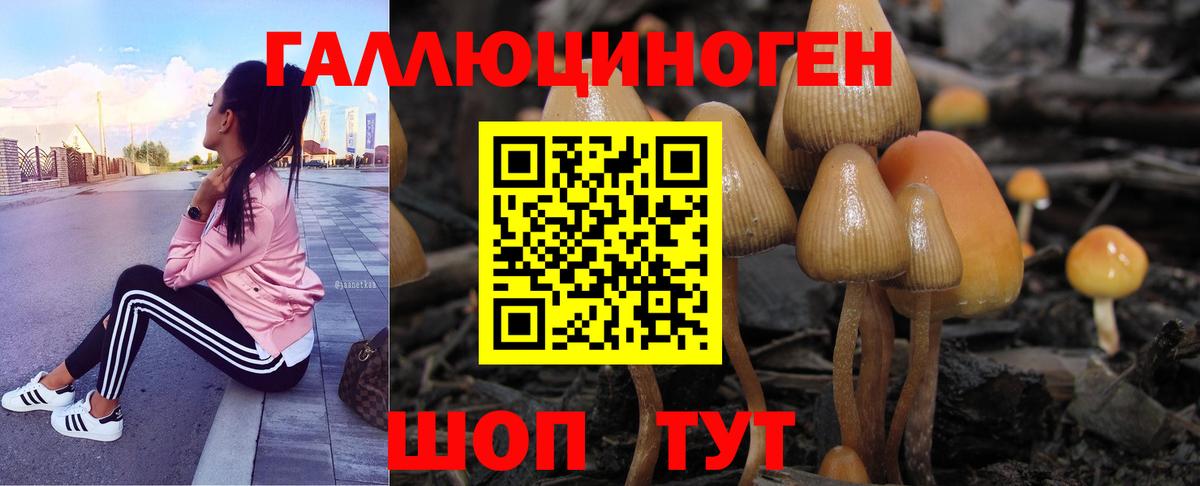Псилоцибиновые грибы MAGIC MUSHROOMS Черкесск